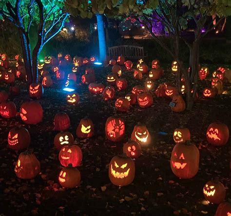 Offer code for magic of the jack o lantern